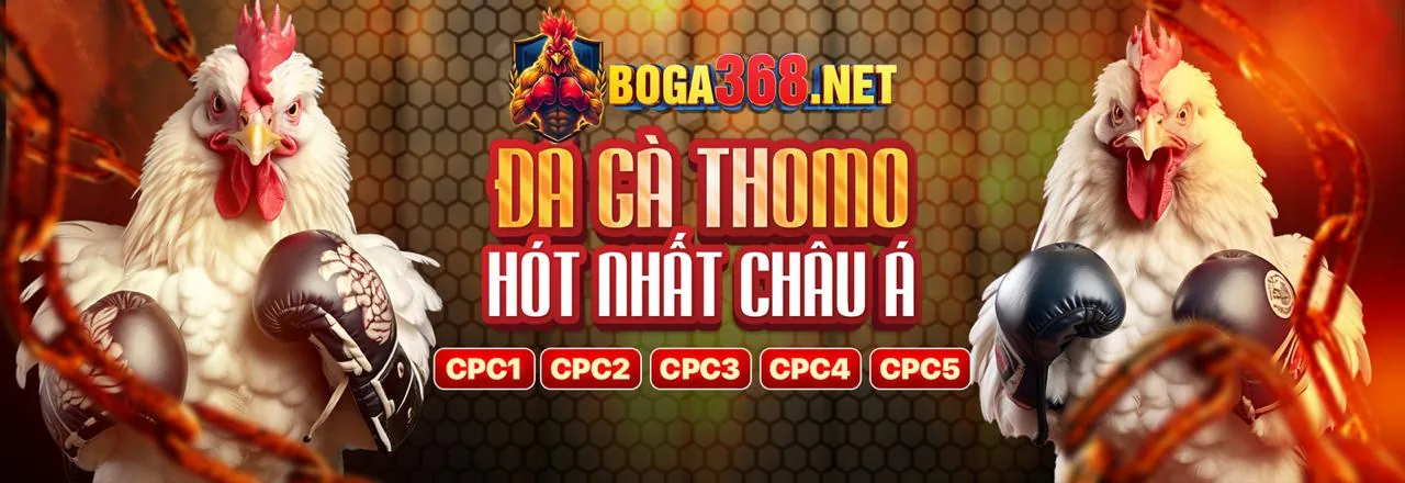 Khuyến mãi chào mừng bz66